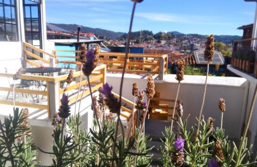 De Guadalupe Hotel | La Tozi Hotel