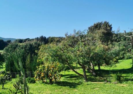 Peri Villa | La villa Résia