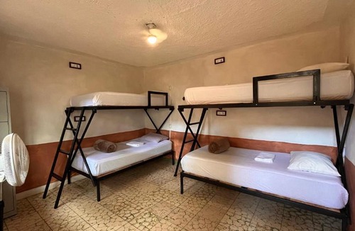 Colonia Guadalupe Hostel | Lool Beh Hostal