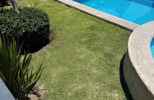Zapopan Apartment | Luxury apartment with swimming pool in the city with spectacular view to the forest.
