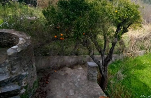 Taglio-Isolaccio House | Maison Typique Village Corse