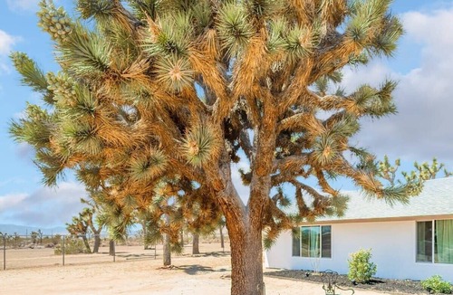 Yucca Valley Cottage | @marbella Lane - Charming Tranquil Hideaway