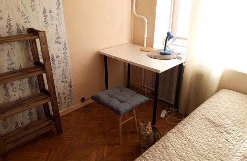 Juarez Municipality Apartment | Mei Ling House