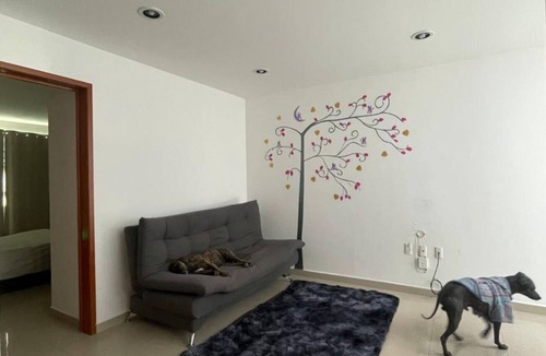 Queretaro Apartment | MillenniumIII - Bed/Queen - Shared Bathroom and/or SofaBed - PET Friendly