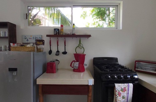 Cozumel House | Mini Pini Birdwatching Loft House