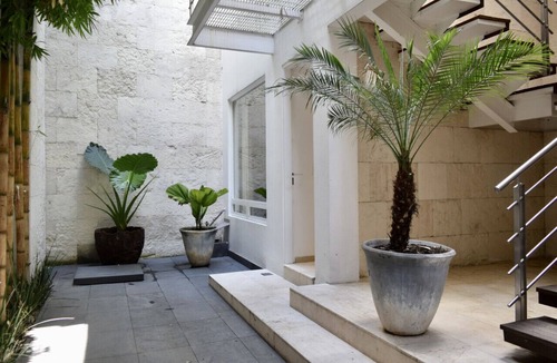 Hipodromo Apartment | Modern apartment Steps from Parque México Condesa Residence 103