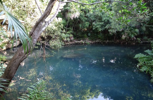 Akumal Apartment | New 3BB Cenote view !Resident beach. Big pool