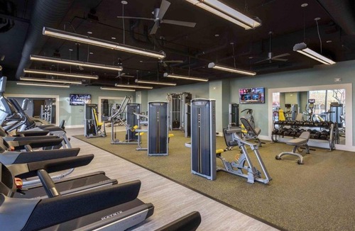 Booker T. Washington Apartment | New! Stunning 1BR/1BA DT Phoenix Apt by Domio