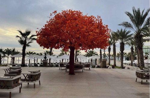 El Tezal Resort | NEW YEAR'S 2026-CABO-2 OR 3 BD WATERFRONTS- 12/27/25-01/03/26 @ VARIOUS RESORTS