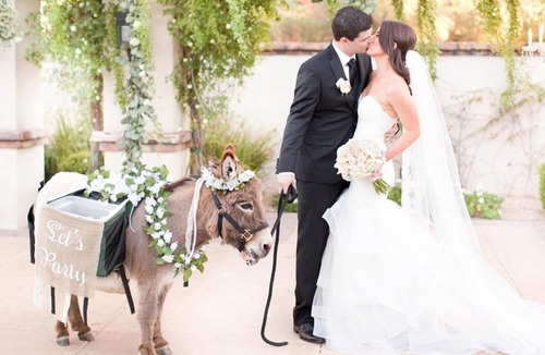 Paradise Valley Hotel | Omni Scottsdale Resort & Spa at Montelucia
