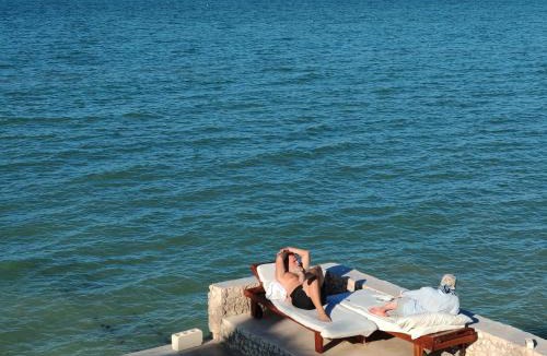 Chuburna Puerto Apartment | On Beach Seaside Sunset Haven 1 Nature & Chill
