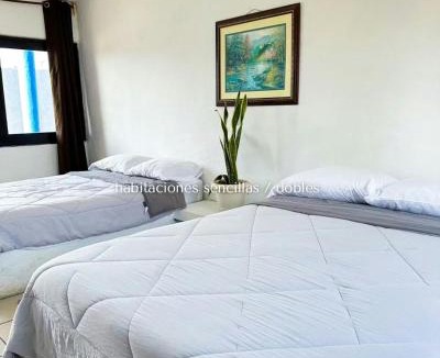 Tuxpan Hotel | Pacha beach club