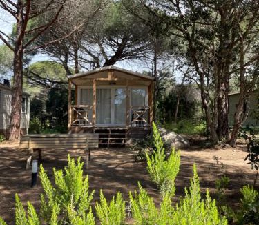 Hameau de Palombaggia Other | Palombaggia location i pini Porto Vecchio
