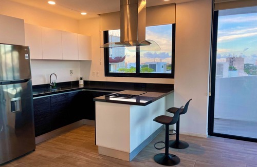 Luis Donaldo Colosio Apartment | Penthouse, centrally located close to the beach and 5th Av, roof with pool