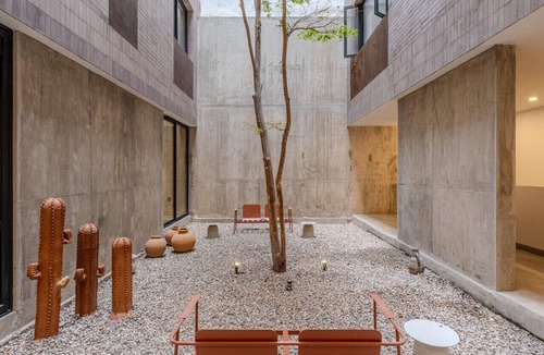 Colonia Cuauhtemoc Apartment | Penthouse con roof garden privado