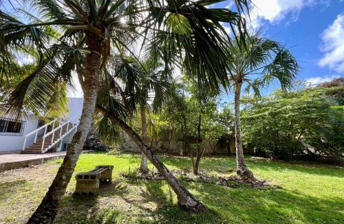 Colonia Centro Apartment | Perfect Place Cozumel - DIANA