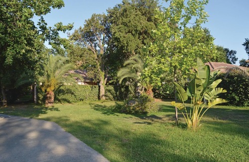 Moriani-Plage Apartment | Pet friendly apartment in Moriani Plage