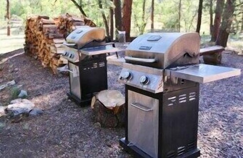Payson Cabin | Pet friendly Fun Family Cabin- 3 Beds, Fireplace, Horseshoes, Swing, Hottub