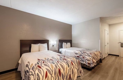 Cortaro Hotel | Pet-friendly Room with Relaxing Ambiance & Near Top Tucson Attractions