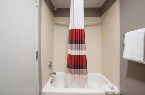 Cortaro Hotel | Pet-friendly Room with Relaxing Ambiance & Near Top Tucson Attractions