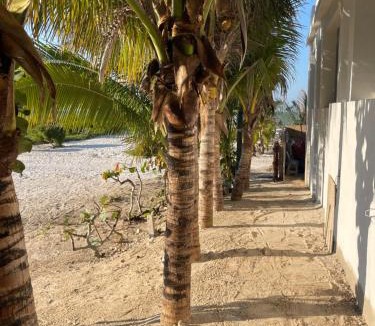 Merida Hotel | Playa Arena