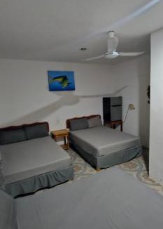 Dzilam de Bravo Hotel | Posada las palmeras