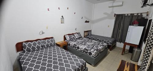 Dzilam de Bravo Hotel | Posada las palmeras