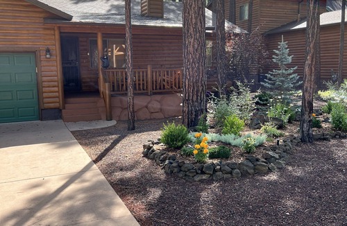 Pinetop Cottage | Quaint cabin in the woods of Pinetop.