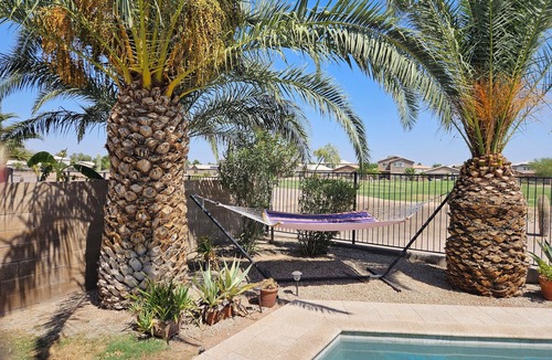 San Tan Valley House | Quiet comfort home on Fairway, Spa, Pool & Remodeled!