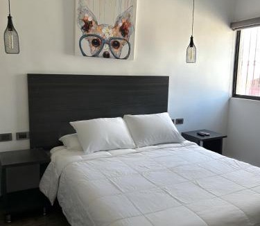 Chihuahua Apartment | Quinta del sol