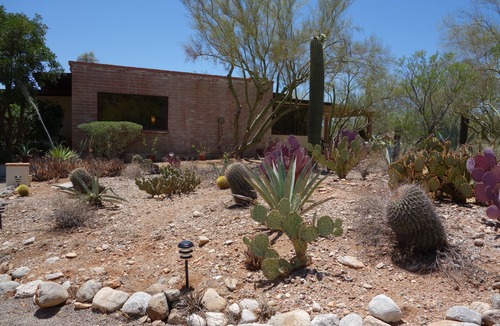 Flowing Well Neighborhood House | Quintessential Tucson - 2BR/2BA Entire House - Lower Foothills