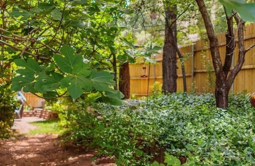 Sedona Cabin | Rustic Cabin by Slide Rock - Sycamore