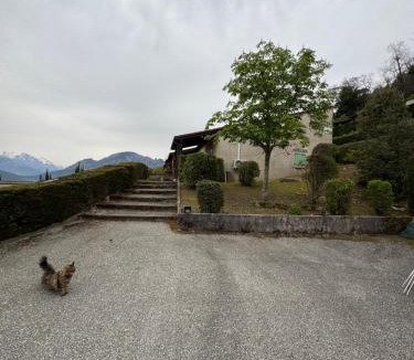 Vico House | Sarl Aurore-Vacances