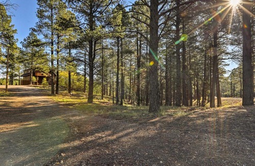 Kachina Village Apartment | Secluded Flagstaff Apartment on 4 Acres with Deck!