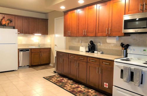 Idyllwild Apartment | Secluded Spacious Lilli Rock Studio, Pet Friendly!