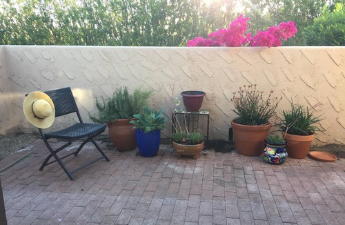 Tucson House | Serene Catalina Foot Get Away