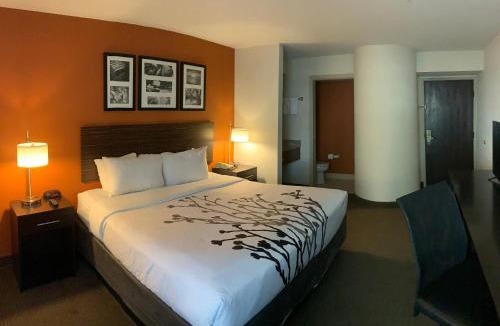 Deer Valley Hotel | Sleep Inn Phoenix North I-17