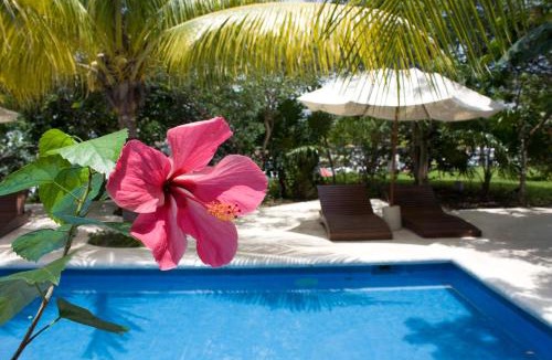 Zona Hotelera Hotel | Sotavento Hotel & Yacht Club