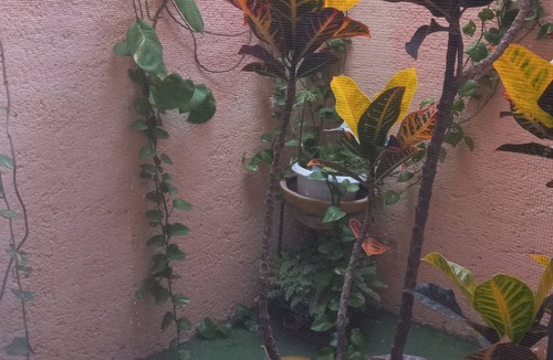 Queretaro House | Stay at casa pipis, close to UTEQ, quiet family atmosphere in a private gated community.