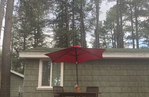 Pinetop Cottage | STUDIO GUEST COTTAGE ON THE NATIONAL FOREST