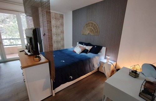 Amelie-les-Bains-Palalda Apartment | Studio Terrasse Parking Douche Clim Rénové