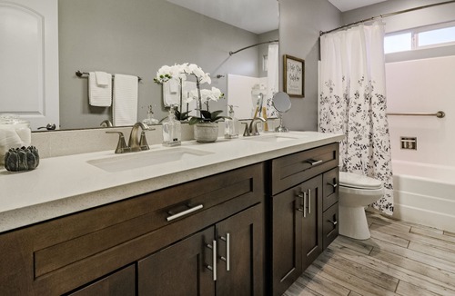 Park Scottsdale One House | SUPER COZY HOME | JACKRABBIT HOUSE | 5 Min to Old Town