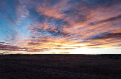 Chambers Other | Tentrr Signature Site - Million Stars Campsite in Petrified Forest - Bliss