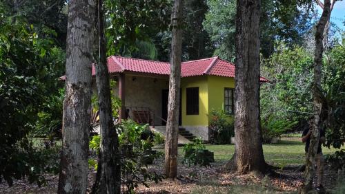 Lacanja Apartment | Tu Casa en la Selva Lacandona