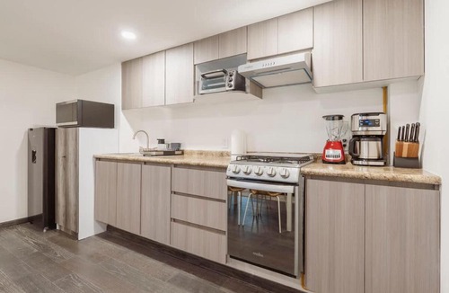 Colonia Cuauhtemoc Apartment | Urban Green Haven