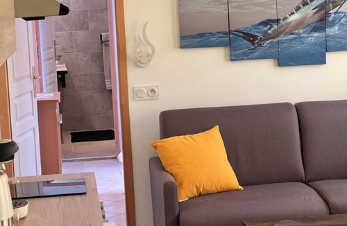 Porto Apartment | Very pleasant apartment with sea and mountain views, boat trip