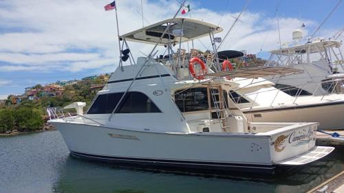Topolobampo Boat Rental | Viaja en Yate por el Mar de Cortés