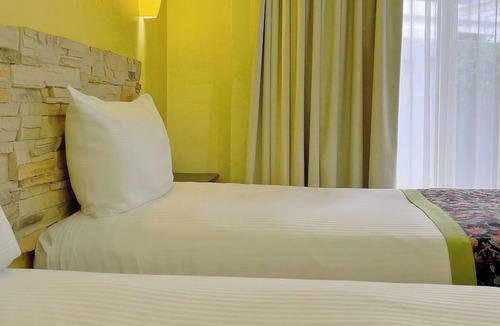 Downtown Cabo San Lucas Hotel | Vibrant Room Perfect for Romantic Beach Getaway – Close to Marina