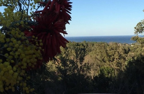 Cervione House | Villa Belle Vue, seafront, 1-2 pets allowed