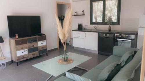 Barbaggio House | Villa De Charme T3 Saint Florent